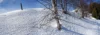 0011 Schneekristalle an einem Hang mit Birken bei Morissen