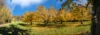 0016 Herbstliche Kirschbäume bei Therwil BL