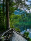 0027 Crestasee bei Flims GR im Sommer