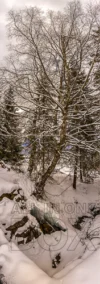 0035 Am Bach gegen Abend Fidaz GR