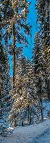 0037 Winter am Caumasee bei Flims GR