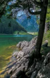 0041 Seealpsee Richtung Säntis Appenzell
