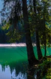 0044 Morgennebel am Lag Tuleritg bei Flims GR