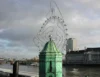 0073 London Riesenrad mit Möwe