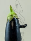 0088 Monsieur Aubergine
