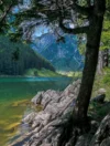 0110 Am Seealpsee im Appenzell